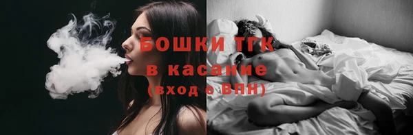 молекула духа Аркадак