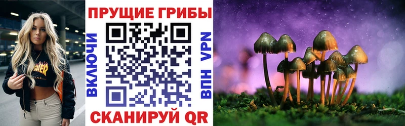 Псилоцибиновые грибы мухоморы  купить  цена  Белорецк 
